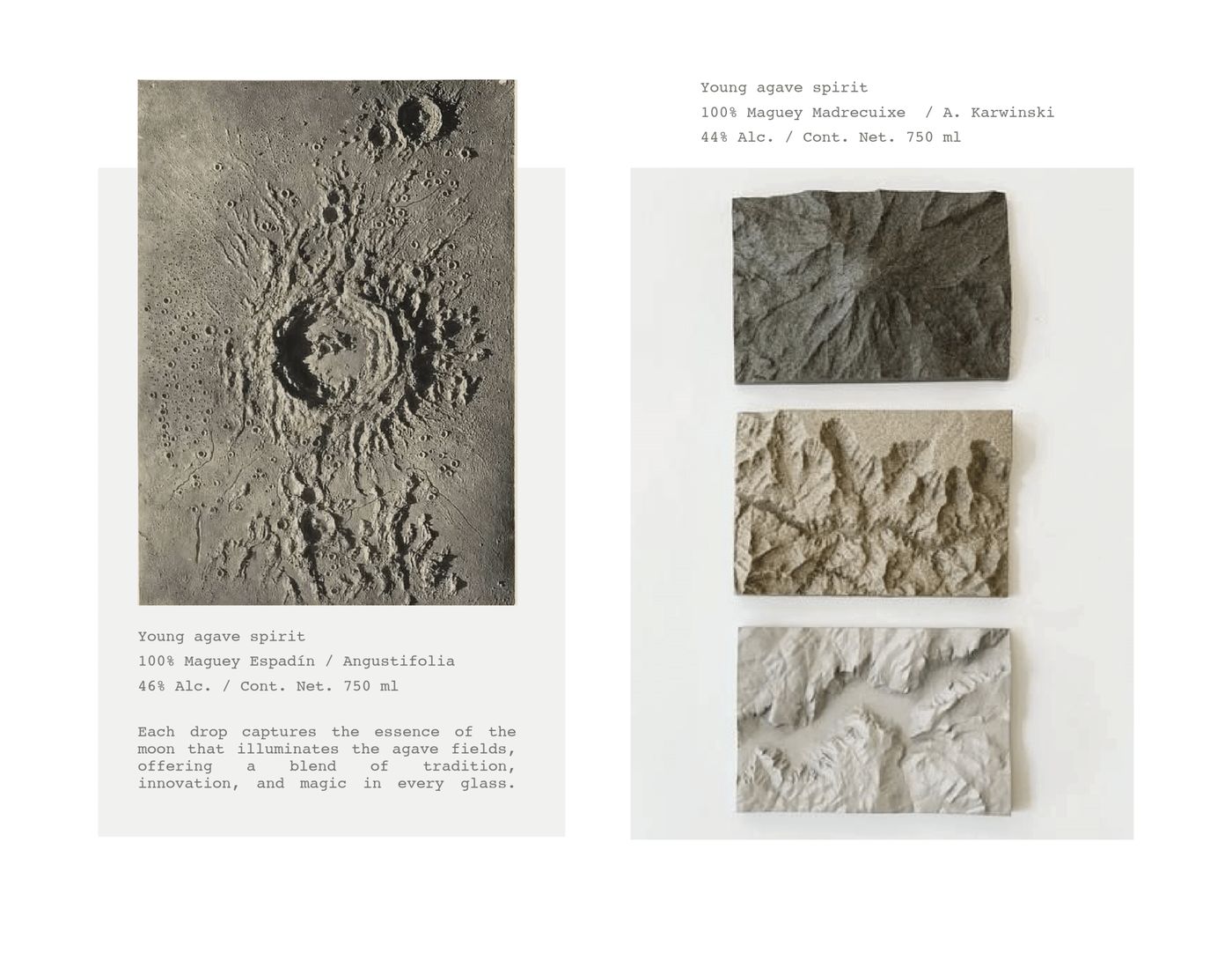 The Moonshift — brand materials