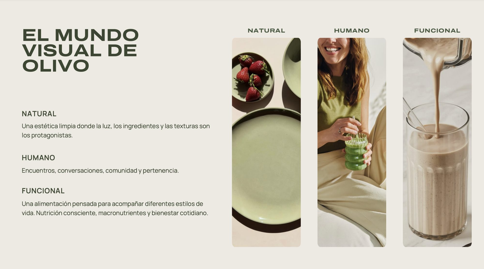 Olivo — visual world: natural, human, functional